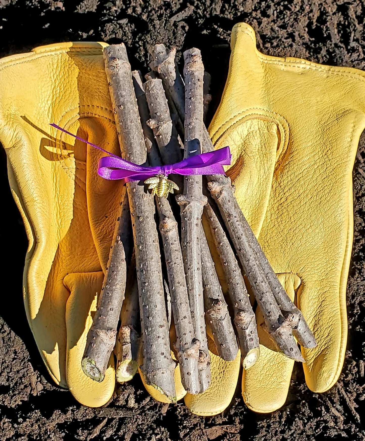 Ranch Cuttings 5, 50, 100 packs from Tudie's Fruities