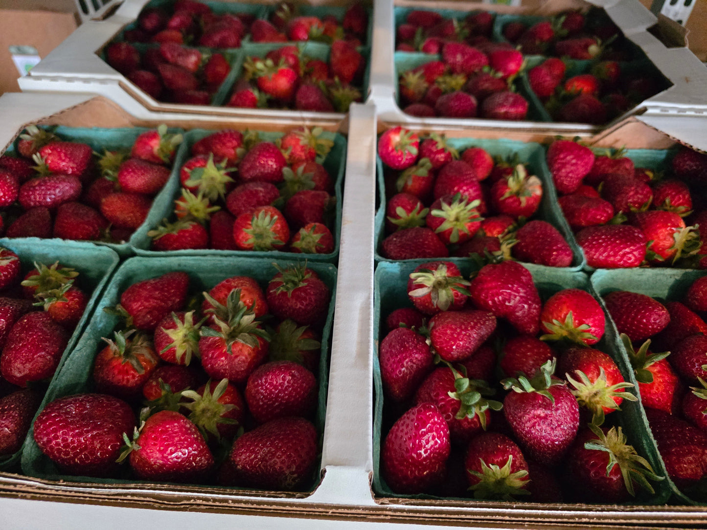 Strawberries Harvick Farms