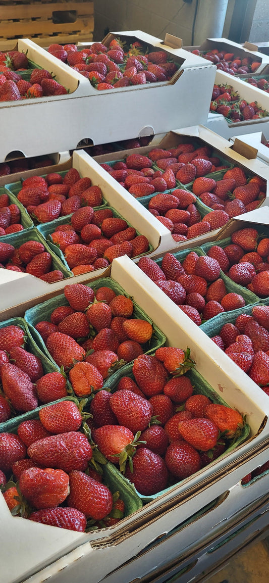 Strawberries Harvick Farms