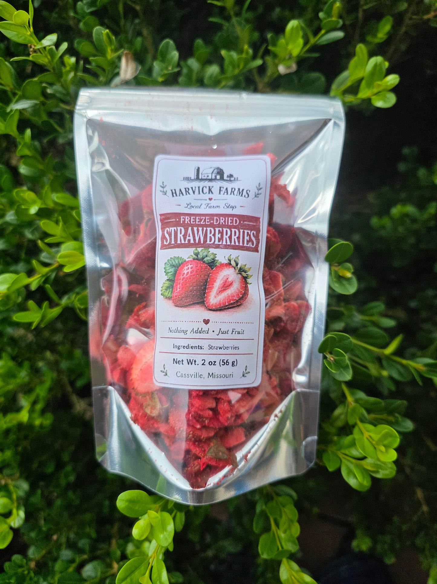 Ozark Freeze-Dried Strawberries