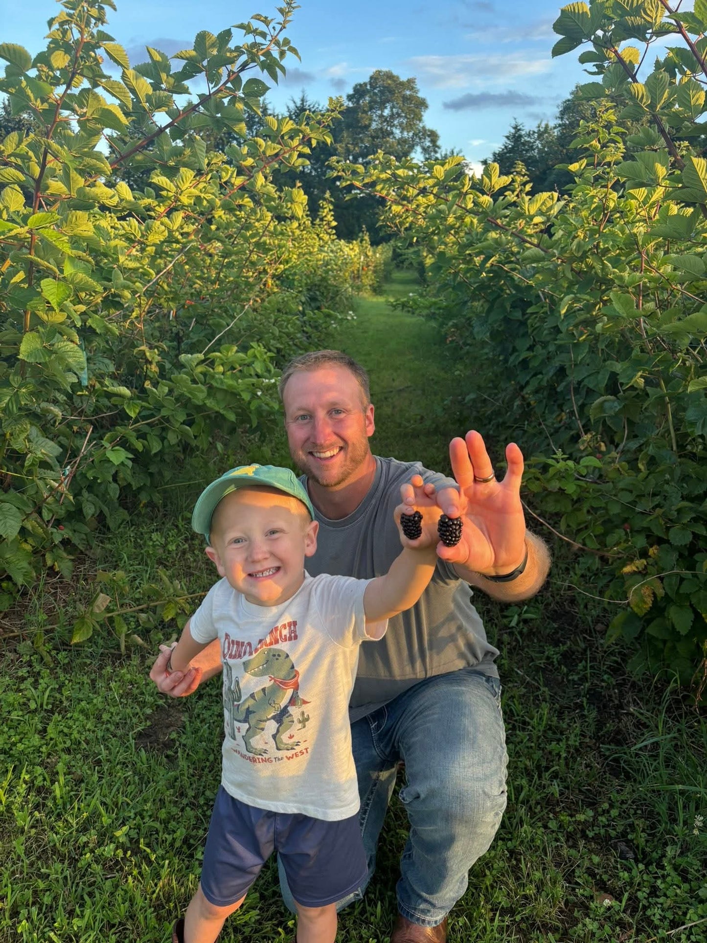 Blackberries