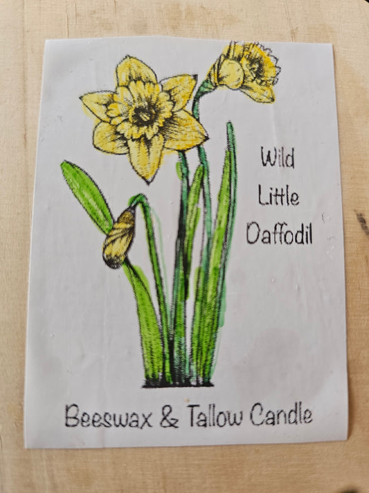 Wild Little Daffodil Candles - Harvick Farms 