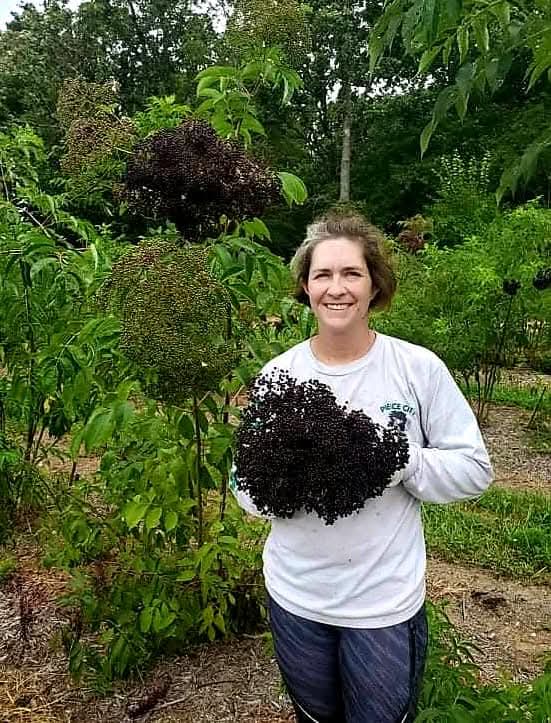 Bob Gordon Cuttings 5, 50, 100 packs from Tudie's Fruities
