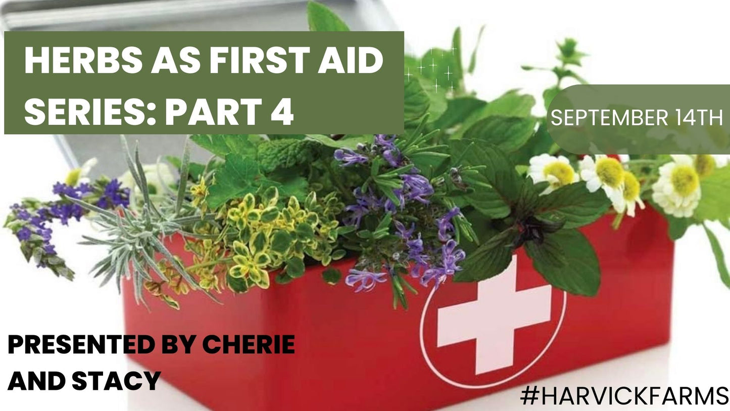 Herbs as First Aid - Constitutions- Series 4 of 4