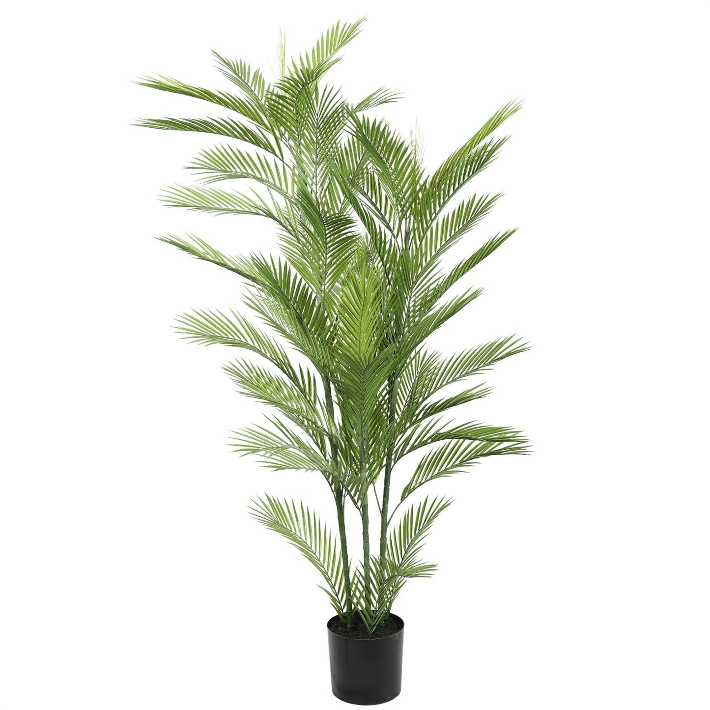 Real Touch Artificial Phoenix Palm Tree UV Resistant 180cm